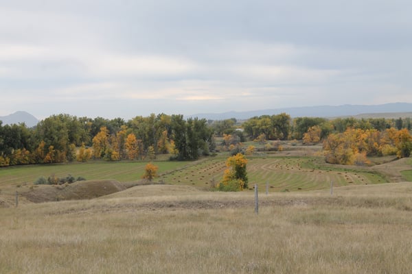 Mule-Deer-Hunting-12